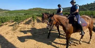 "À cheval, on voit plus loin et on repère": pour la première fois, un détachement de la Garde républicaine a été déployé dans le Var