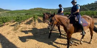 "À cheval, on voit plus loin et on repère": pour la première fois, un détachement de la Garde républicaine a été déployé dans le Var