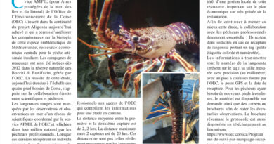 A cunniscenza di l’aligosta rossa cresce cù a cullaburazione trà pescadori è scentifichi !