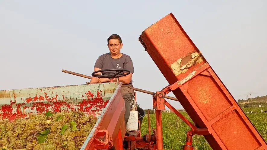 À la cave coopé de Frontignan, Théo (16 ans) et Alexis (22 ans) incarnent l’avenir d’une profession qui peine à se renouveler