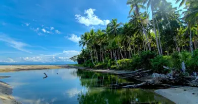 Mayotte, Mamoudzou, lagoon, beach, coral, mangrove, ylang-ylang, island, Creole, nature