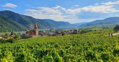 Grand Est, Strasbourg, Reims, vineyard, Alsace, Vosges, forest, cathedral, village