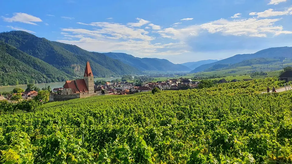 Grand Est, Strasbourg, Reims, vineyard, Alsace, Vosges, forest, cathedral, village
