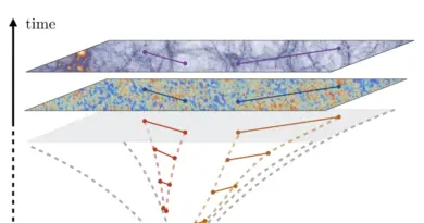 A new perspective on how cosmological correlations change based on kinematic parameters