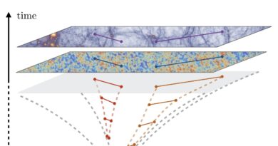 A new perspective on how cosmological correlations change based on kinematic parameters