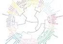 AI trained to predict nationality from beliefs and values