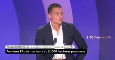 Accord sur les droits de douane UE-États-Unis : "C'est évidemment une attitude de faiblesse", dénonce le porte-parole du RN, Aleksandar Nikolic