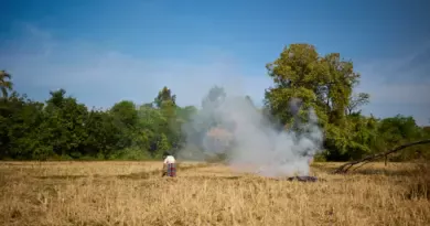 Adaptation au changement climatique : au-delà de l'atténuation des émissions