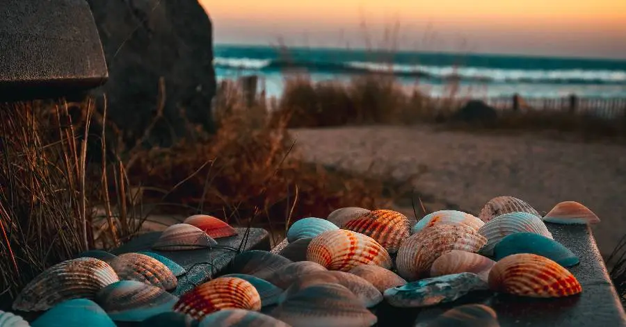 Agde - Lundi 18 août : nature, musique, danse et magie visuelle au rendez-vous