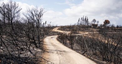 Agé de 18 à 35 ans, vous avez conscience de l’urgence écologique mais êtes pessimiste. Racontez-nous.