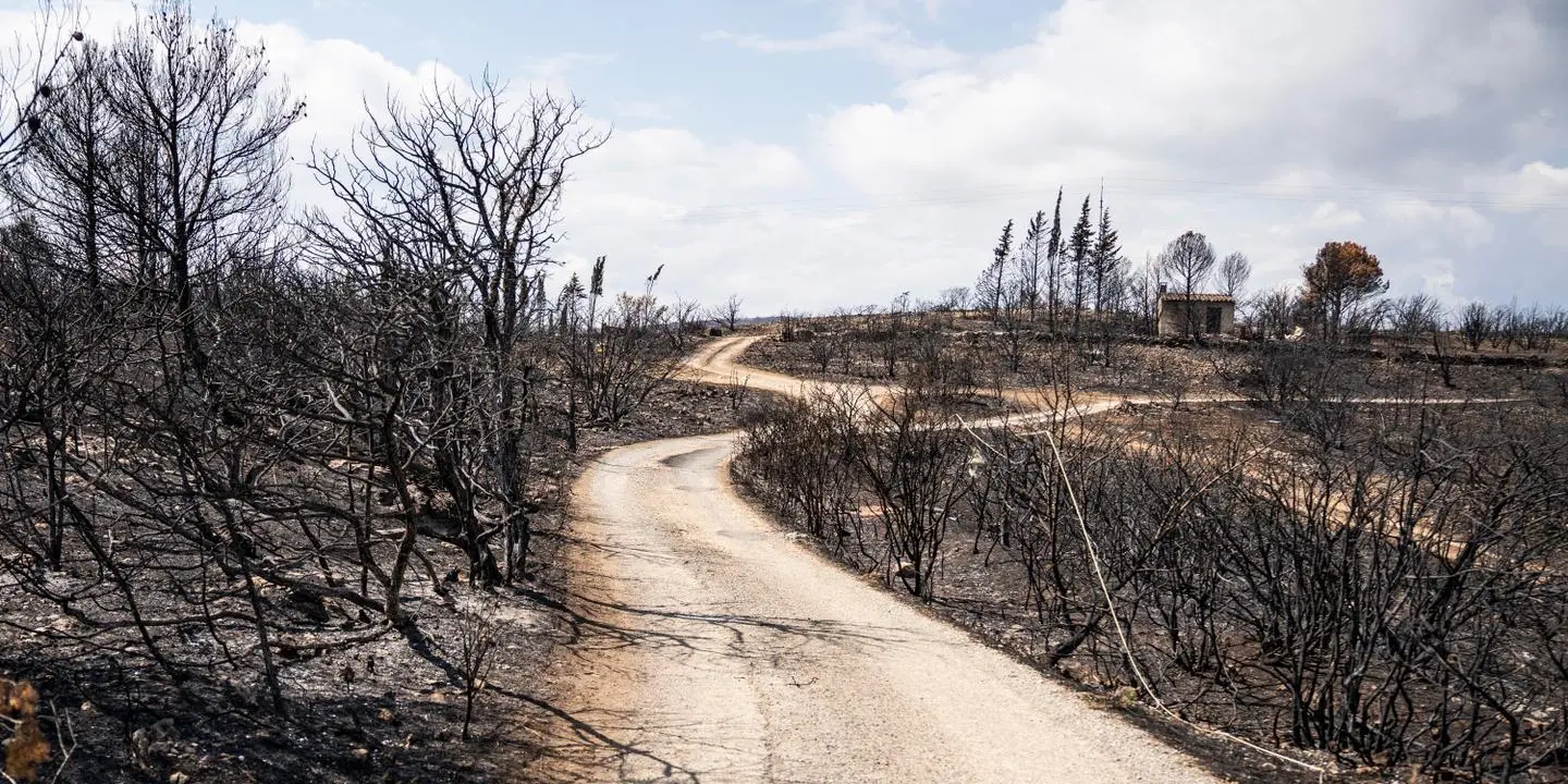 Agé de 18 à 35 ans, vous avez conscience de l’urgence écologique mais êtes pessimiste. Racontez-nous.