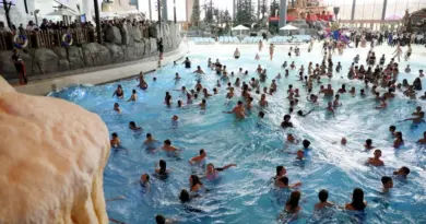 Agression sexuelle d'une mineure à Europa Park : le principal suspect arrêté en Roumanie
