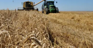 Agriculture