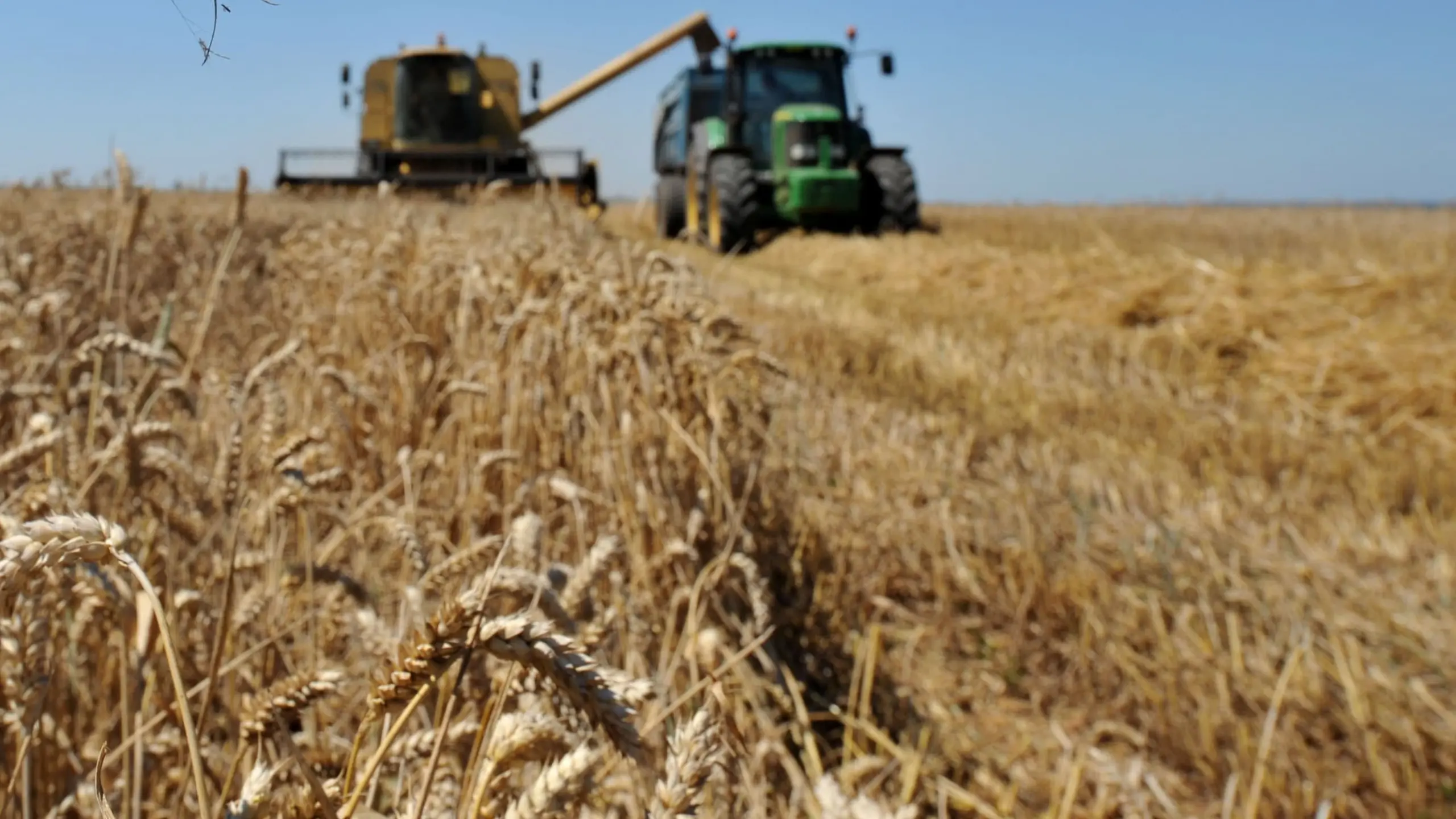 Agriculture