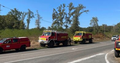 "Aidez-nous à protéger la forêt": l'appel d'un maire après un feu de broussailles dans son village en Gironde