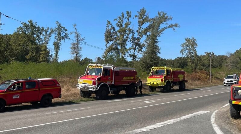 "Aidez-nous à protéger la forêt": l'appel d'un maire après un feu de broussailles dans son village en Gironde