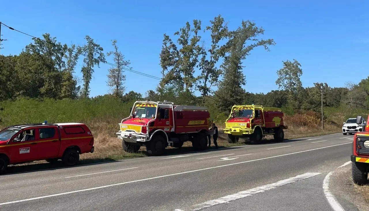 "Aidez-nous à protéger la forêt": l'appel d'un maire après un feu de broussailles dans son village en Gironde