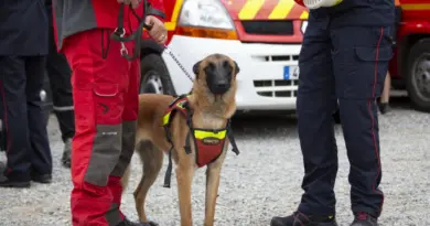 Ain. Péronnas : un homme de 53 ans qui était porté disparu a été retrouvé