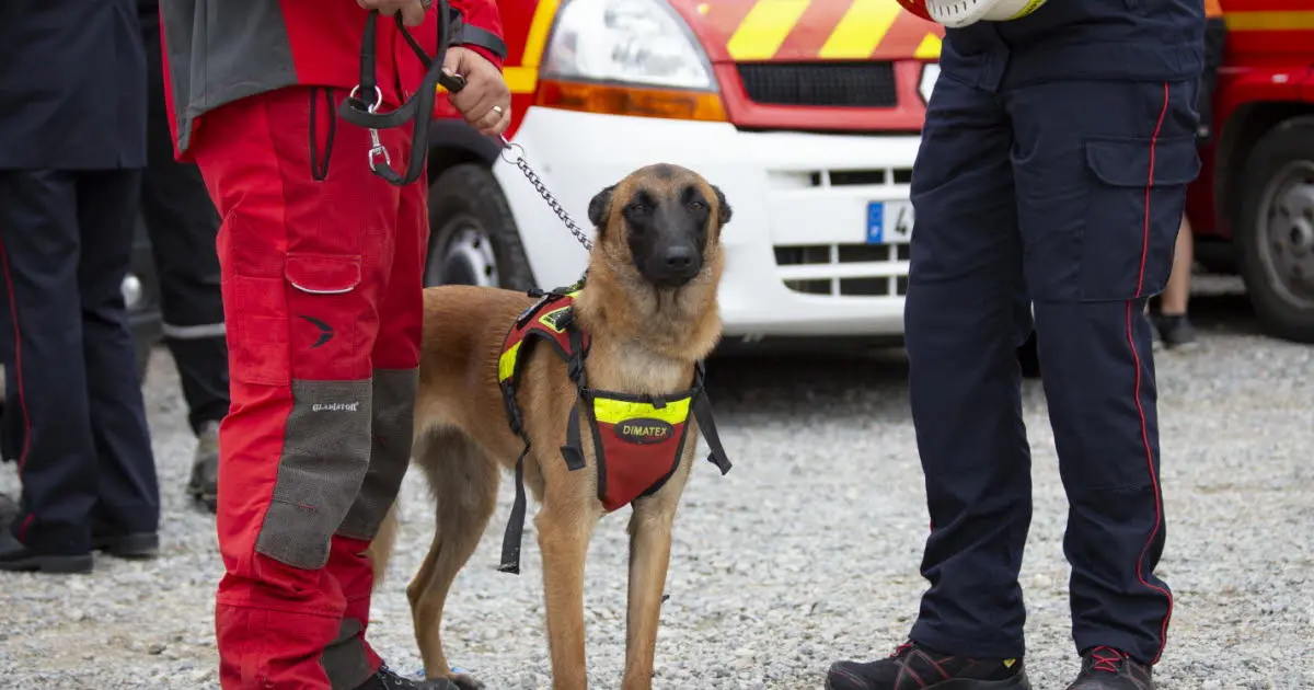 Ain. Péronnas : un homme de 53 ans qui était porté disparu a été retrouvé