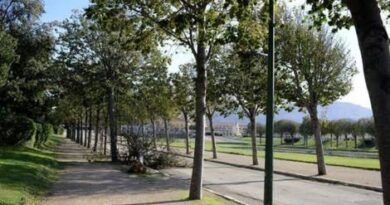 Alerte aux orages : les parcs et jardins de Marseille fermés ce lundi