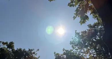 Alerte canicule : les Yvelines placées en vigilance orange, où fera-t-il le plus chaud ?