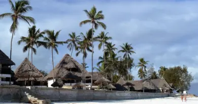 Polynésie française, Tahiti, Bora Bora, lagoon, beach, palm, coral, overwater, island