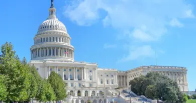 politics, government, parliament, election, voting, democracy, politician, president