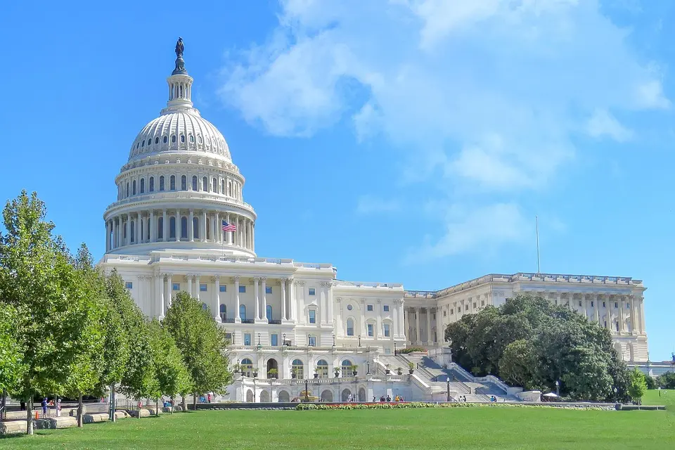 politics, government, parliament, election, voting, democracy, politician, president