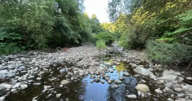 Alsace. Ill, Doller, Fecht, Thur... nouvelle alerte sécheresse pour les rivières et cours d'eau