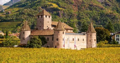 Centre-Val de Loire, Orléans, Tours, Loire river, castle, vineyard, forest, landscape