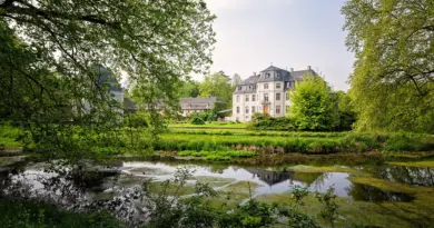 Pays de la Loire, Nantes, Angers, Loire river, castle, vineyard, coast, landscape