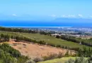 Occitanie, Toulouse, Montpellier, landscape, sea, mountain, vineyard, canal