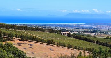Occitanie, Toulouse, Montpellier, landscape, sea, mountain, vineyard, canal