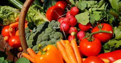 Après la faillite d'une plateforme de produits en circuit court, un ancien salarié crée une cagnotte pour soutenir les paysans non payés