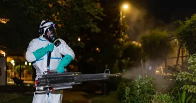 Après le chikungunya, deux cas « autochtones » de dengue en Gironde, les premiers dans la région