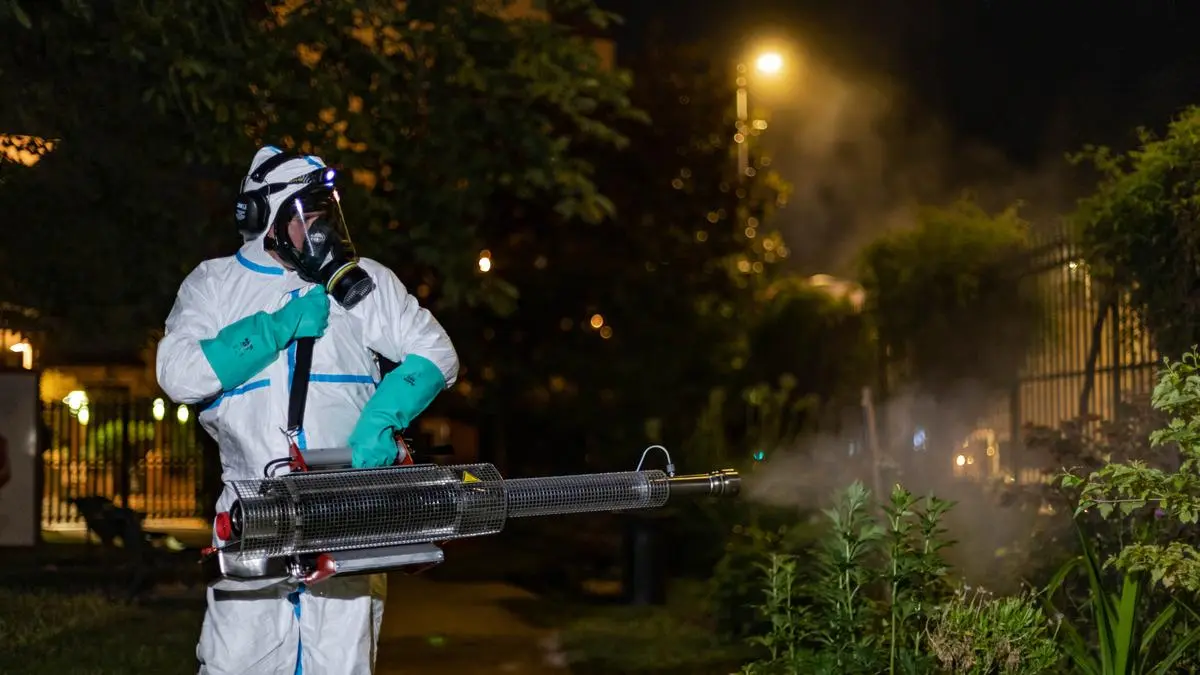 Après le chikungunya, deux cas « autochtones » de dengue en Gironde, les premiers dans la région