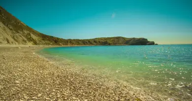 Mayotte, Mamoudzou, lagoon, beach, coral, mangrove, ylang-ylang, island, Creole, nature