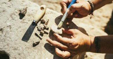 Archéologie : découverte fortuite à Heusden-Zolder (province du Limbourg) d’un site datant de 7500 avant J.-C. - RTBF Actus