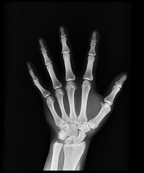 health, healthcare, medicine, medical, doctor, hospital, nurse, patient