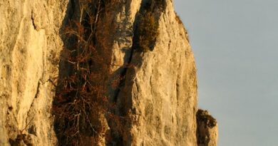 Corse, Ajaccio, Bastia, mountain, beach, sea, cliff, village, maquis, landscape