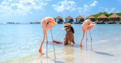 Aruba : l'île serait la destination la plus sûre des Caraïbes