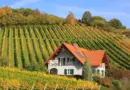 Occitanie, Toulouse, Montpellier, landscape, sea, mountain, vineyard, canal