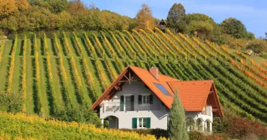 Occitanie, Toulouse, Montpellier, landscape, sea, mountain, vineyard, canal