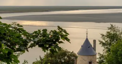 Normandie, Caen, Rouen, Mont-Saint-Michel, cliff, beach, cow, landscape, D-Day