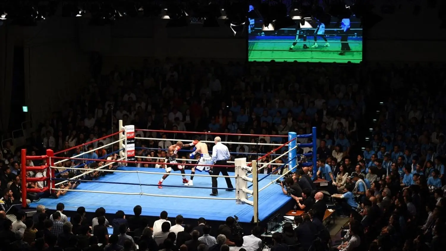 Au Japon, les instances de la boxe se réunissent en urgence après la mort de deux sportifs lors d'une réunion