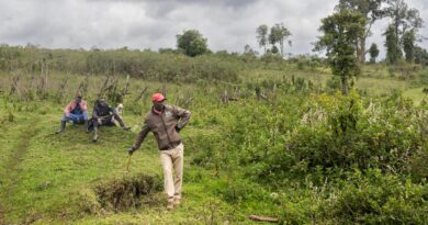 Au Kenya, des chasseurs-cueilleurs expulsés de leurs forêts ancestrales