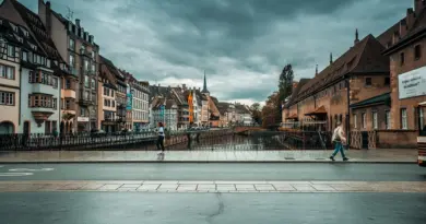 Grand Est, Strasbourg, Reims, vineyard, Alsace, Vosges, forest, cathedral, village