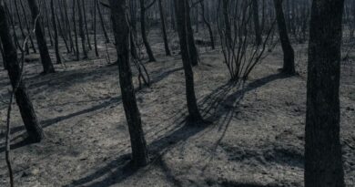 Aude : une rave party s’installe en pleine zone sinistrée par l’incendie qui a détruit 16.000 hectares - ici
