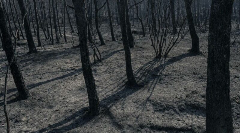 Aude : une rave party s’installe en pleine zone sinistrée par l’incendie qui a détruit 16.000 hectares - ici