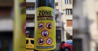 Autocollants racistes et néonazis à Orléans : l'auteur des faits condamné à six mois de prison avec sursis - ici